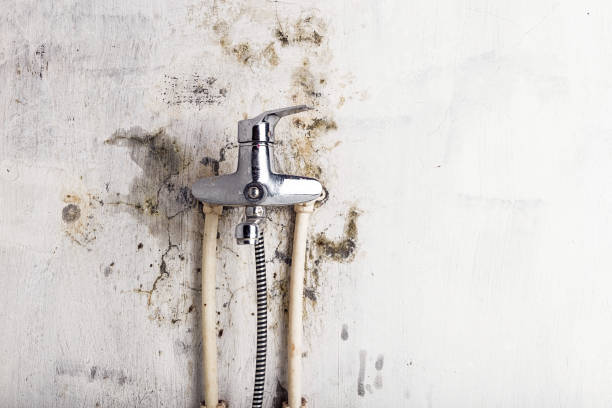Water Damage Restoration in Perryton, TX