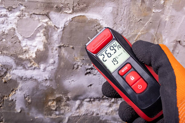 Professional Mold Removal in Perryton, TX