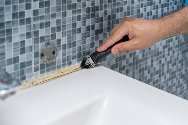Best Local Mold Removal Service  in Perryton, TX