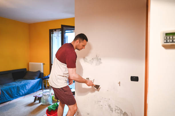 Best Professional Mold Removal  in Perryton, TX